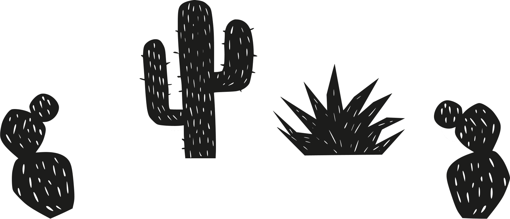 Cacto
